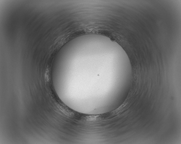 X0000056030090200508191003