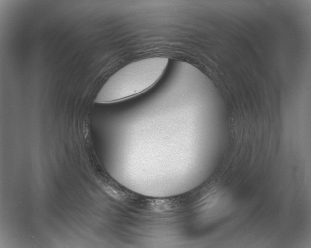 X0000056030091200508191003