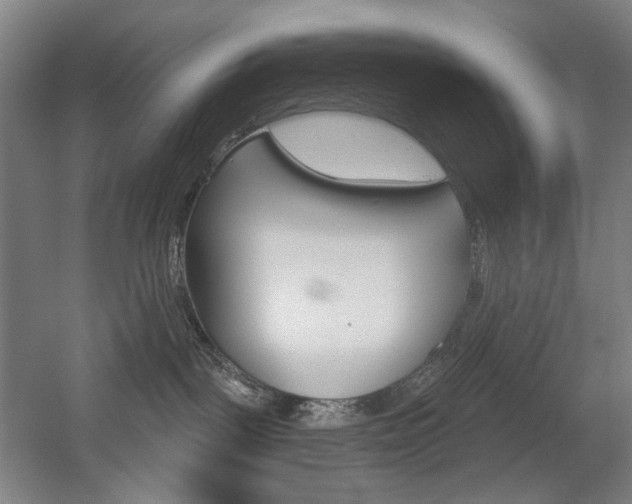 X0000056030093200508191003