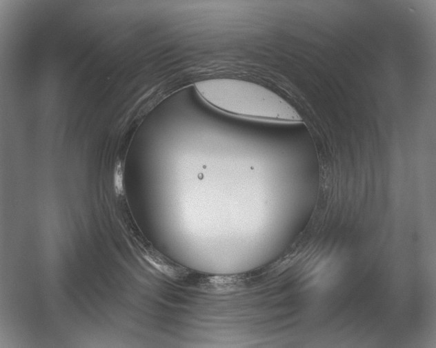 X0000056030095200508191003