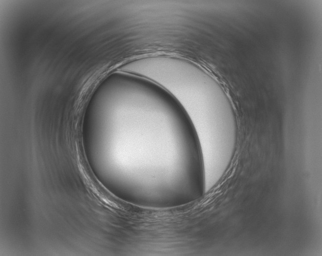 X0000056030097200508191003