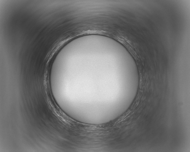 X0000056030098200508191003