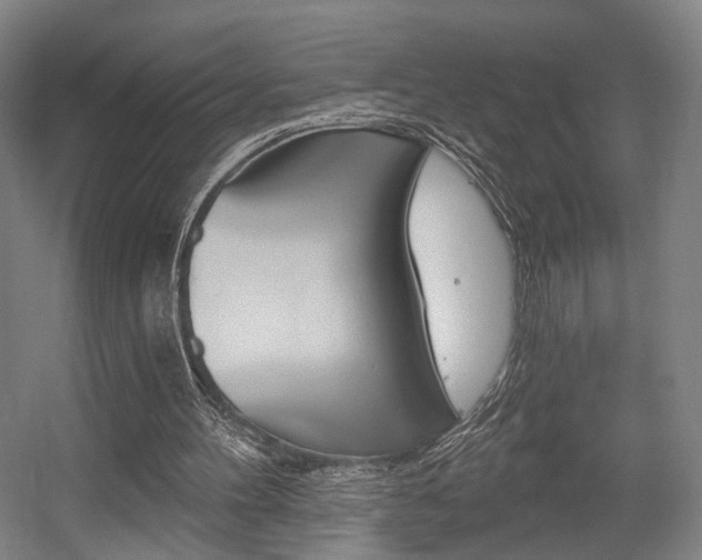 X0000056030100200508191003
