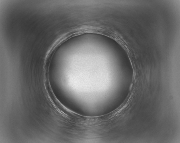 X0000056030101200508191003