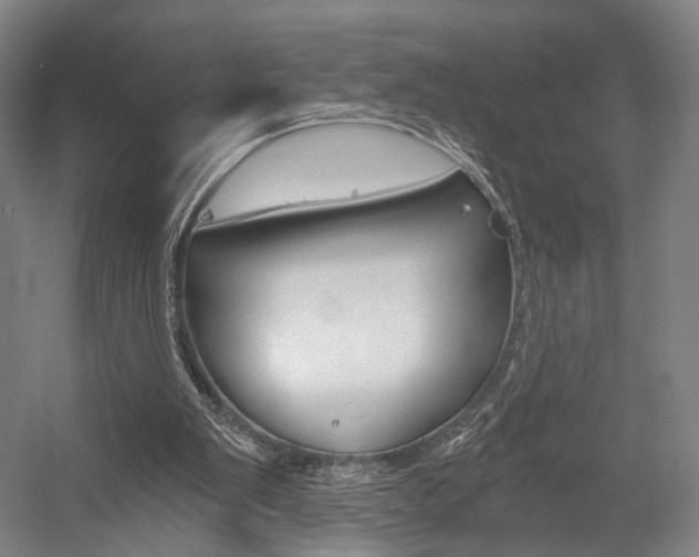 X0000056030103200508191003