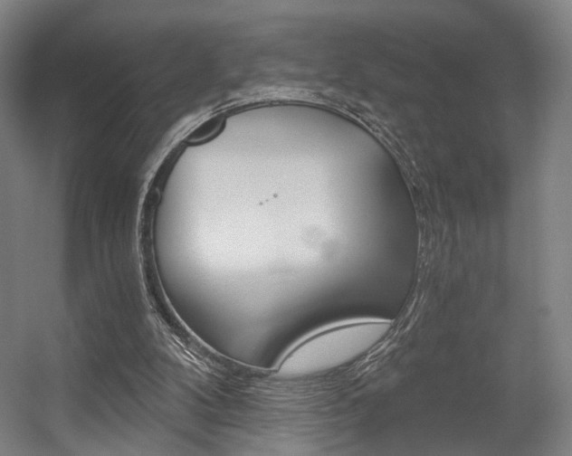 X0000056030104200508191003