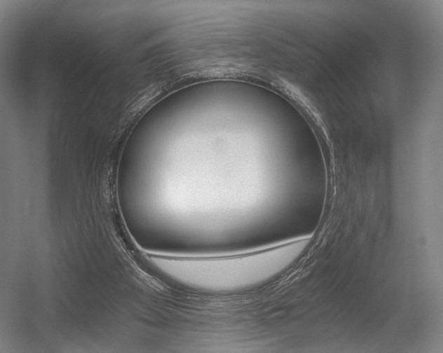 X0000056030105200508191003