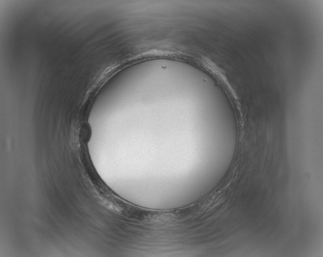 X0000056030106200508191002