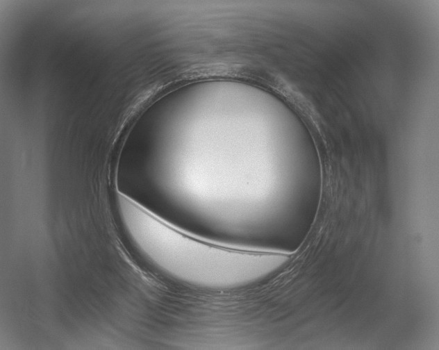 X0000056030107200508191002