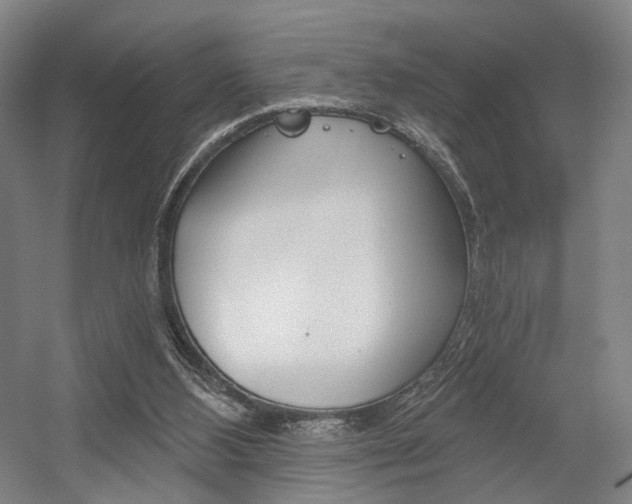 X0000056030108200508191002