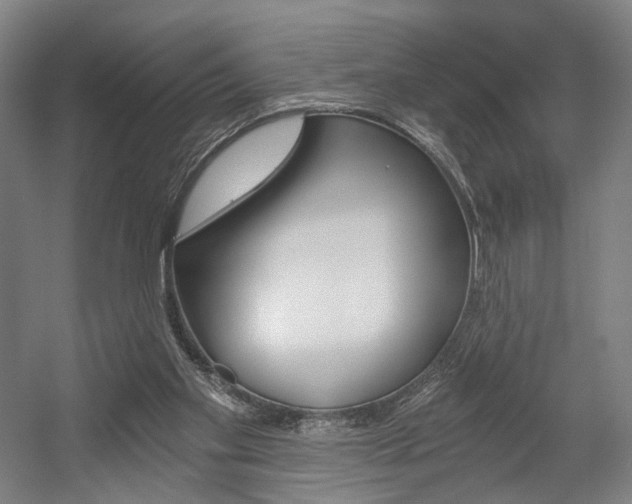 X0000056030109200508191002