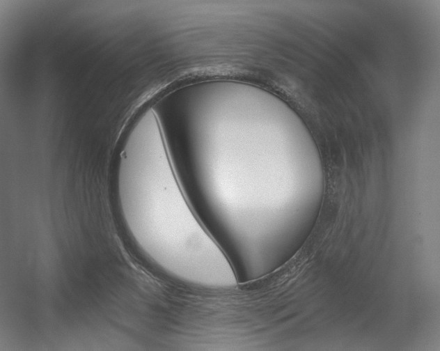 X0000056030111200508191002