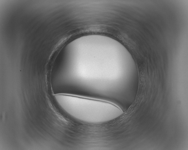 X0000056030112200508191002