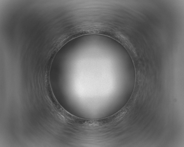 X0000056030113200508191002