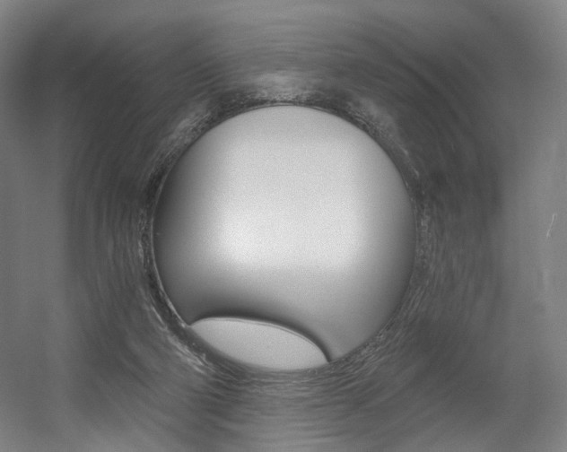 X0000056030114200508191002