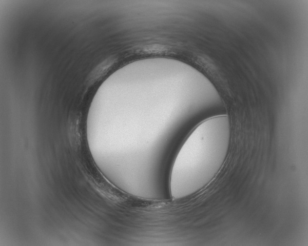 X0000056030116200508191002