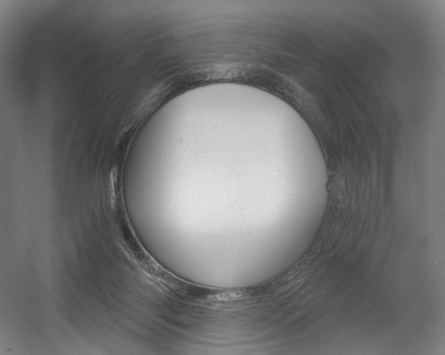 X0000056030118200508191002
