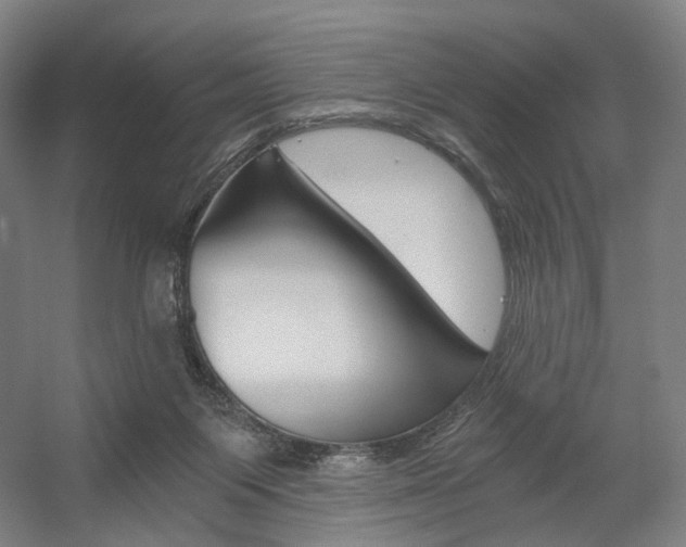 X0000056030119200508191002