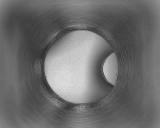 X0000056030120200508191002