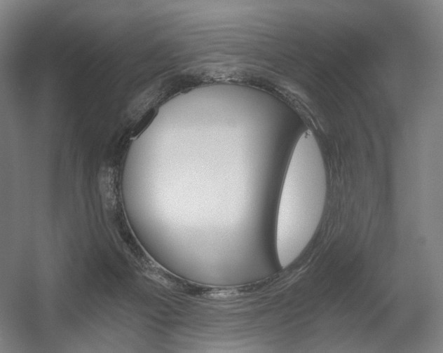 X0000056030121200508191002