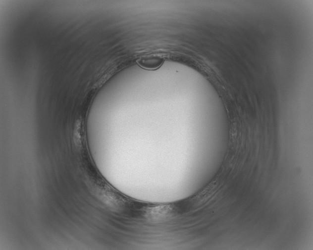 X0000056030122200508191002