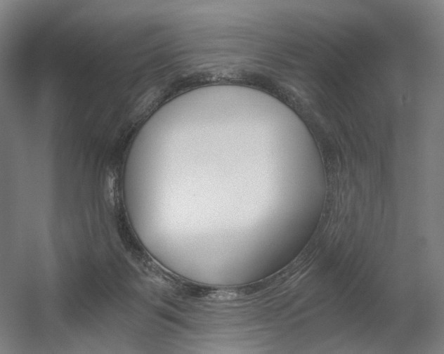 X0000056030123200508191002