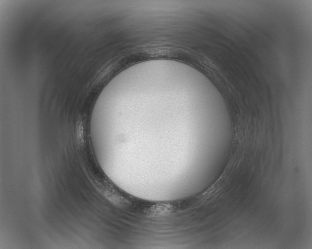X0000056030124200508191002