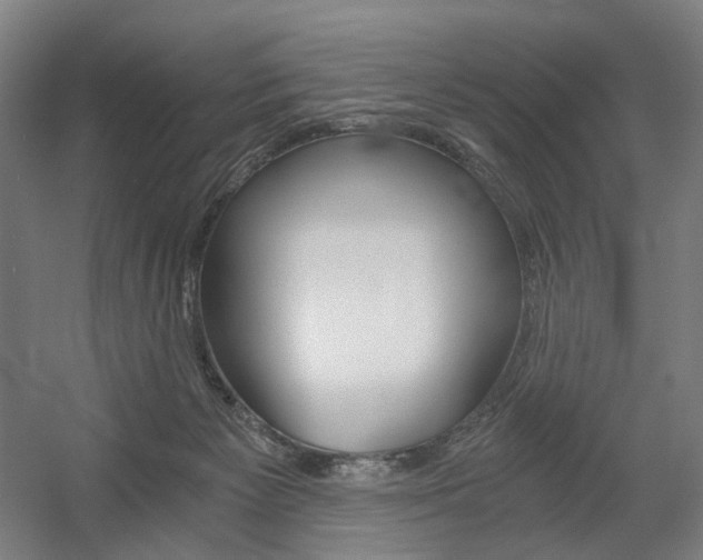 X0000056030125200508191002
