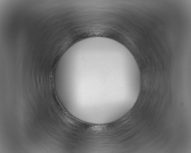 X0000056030126200508191002