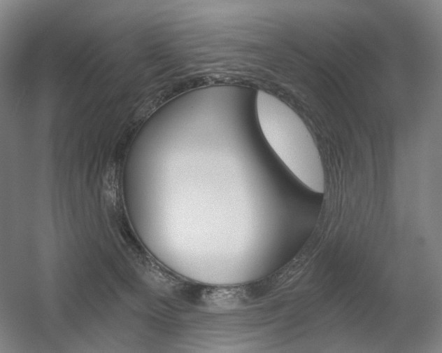 X0000056030129200508191002