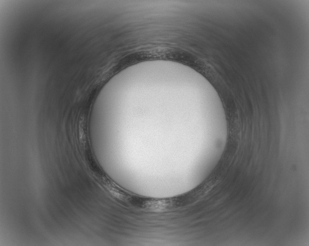 X0000056030131200508191002