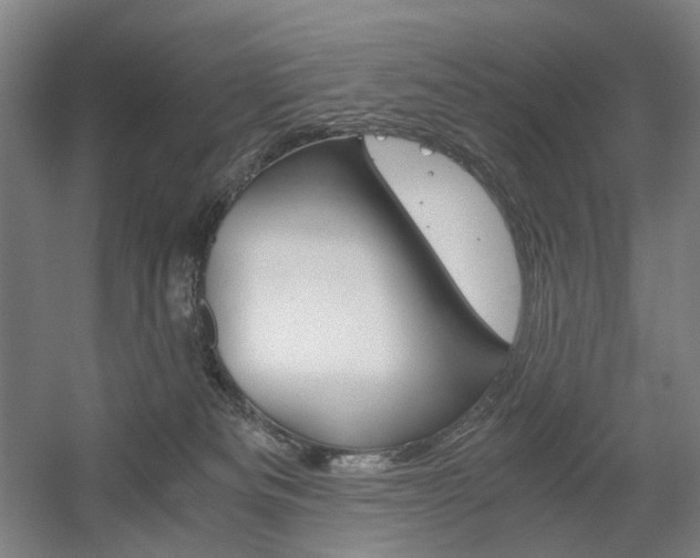 X0000056030133200508191002