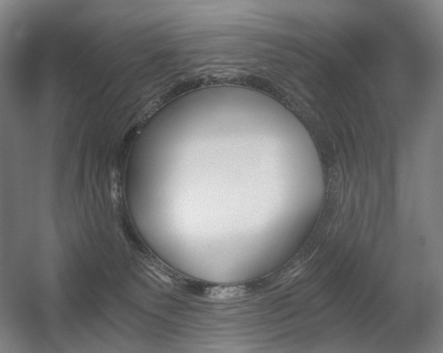 X0000056030135200508191002