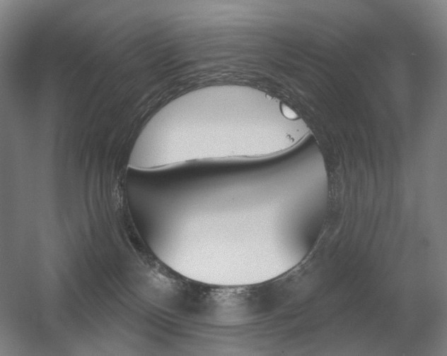 X0000056030136200508191002