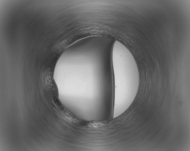 X0000056030137200508191002