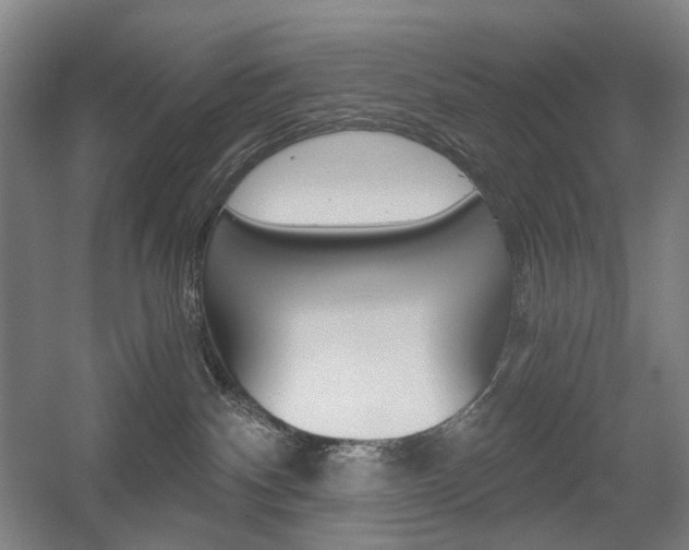 X0000056030140200508191002