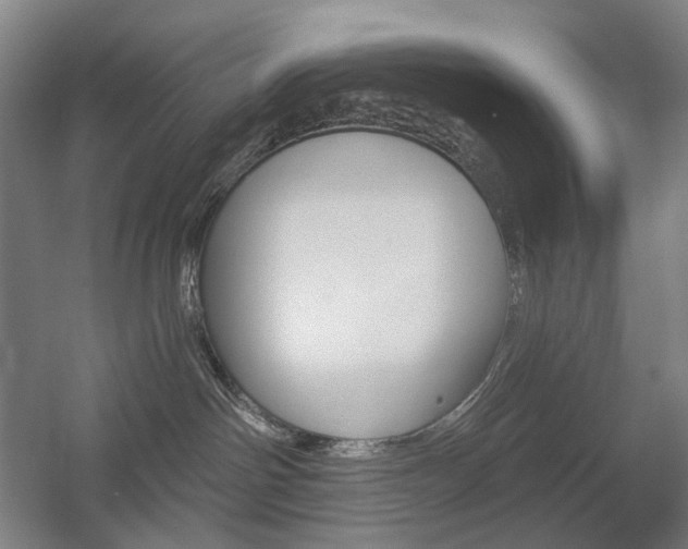 X0000056030142200508191002
