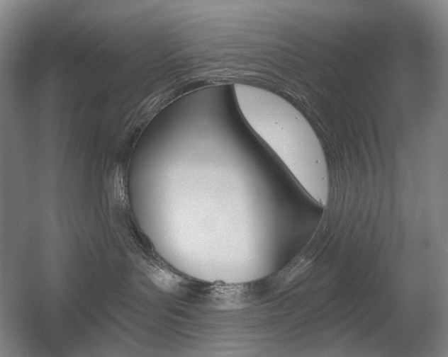 X0000056030143200508191002