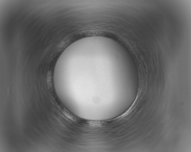 X0000056030144200508191002