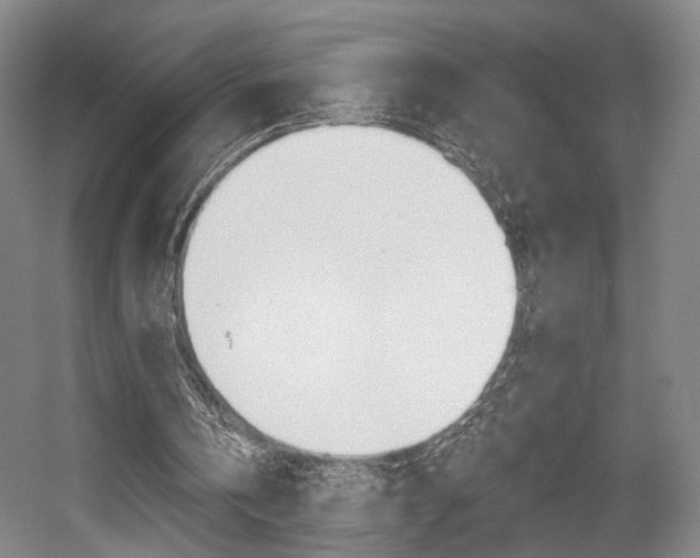 X0000056030146200508191001