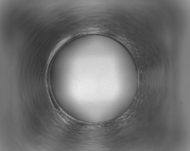 X0000056030147200508191001