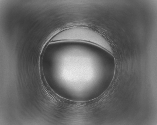 X0000056030148200508191001