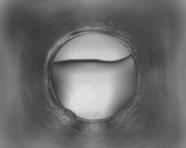 X0000056030149200508191001
