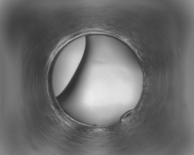 X0000056030151200508191001