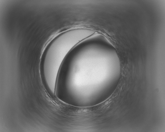 X0000056030152200508191001