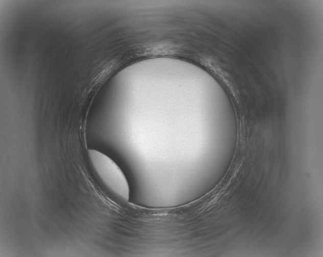 X0000056030153200508191001