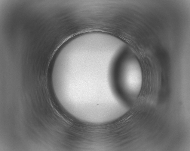 X0000056030156200508191001
