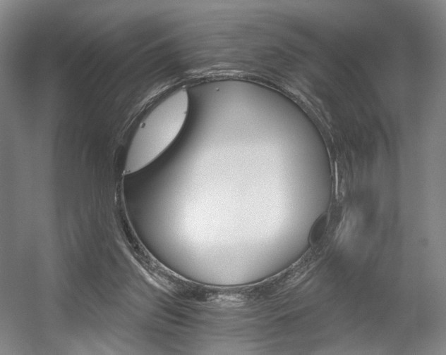 X0000056030157200508191001