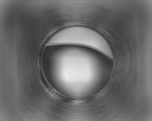 X0000056030158200508191001