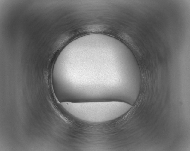 X0000056030159200508191001